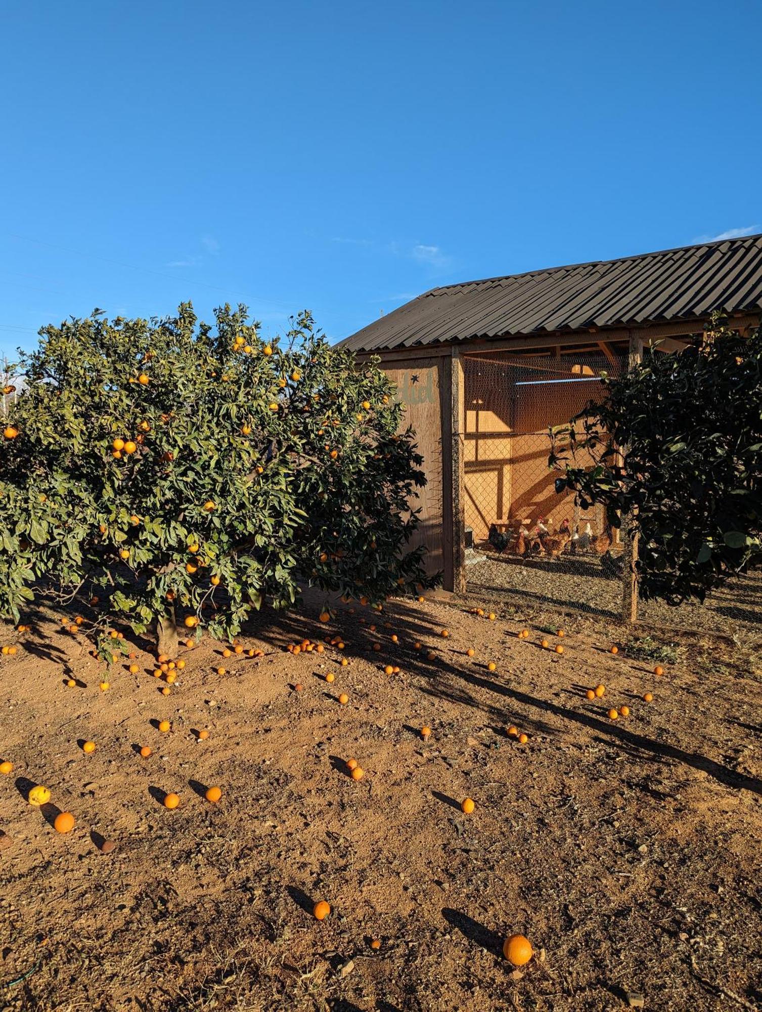 Riudoms Casa Hostalets - Rural Luxury מראה חיצוני תמונה